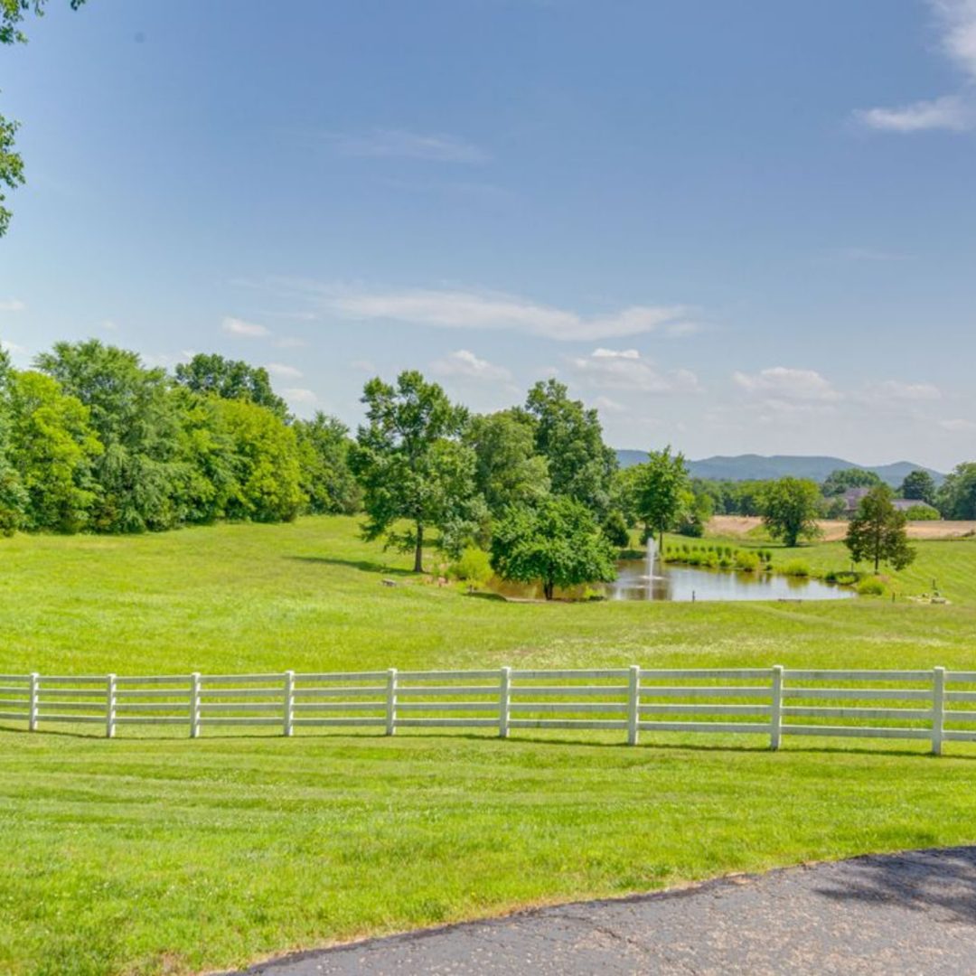 white horse garm (9)